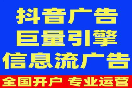 成功案例解析：SEO与SEM协同营销策略
